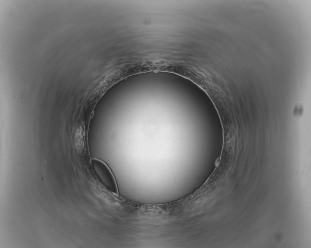 X0000092010866200709131532