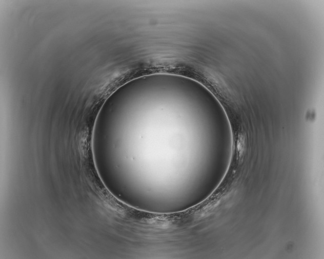 X0000092010867200709131532