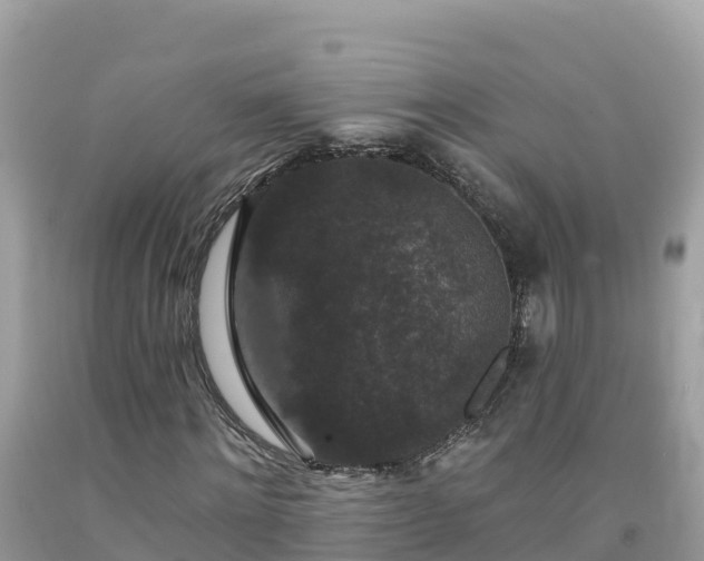 X0000092010868200709131532