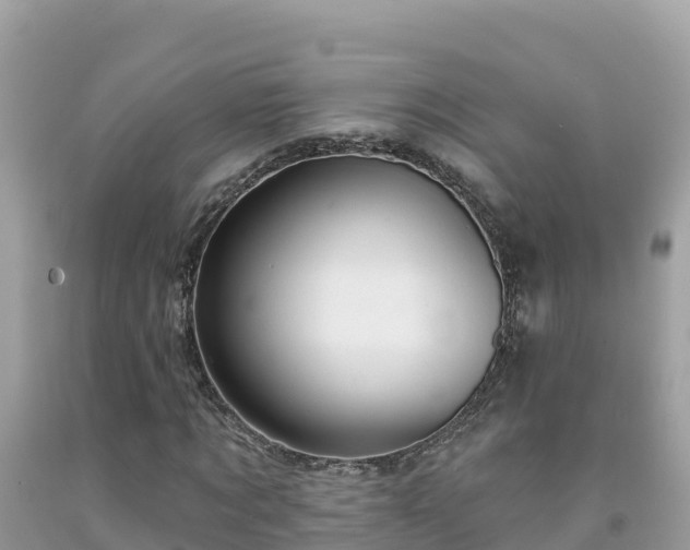 X0000092010869200709131532