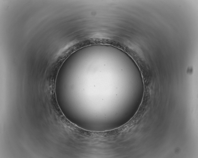 X0000092010870200709131532