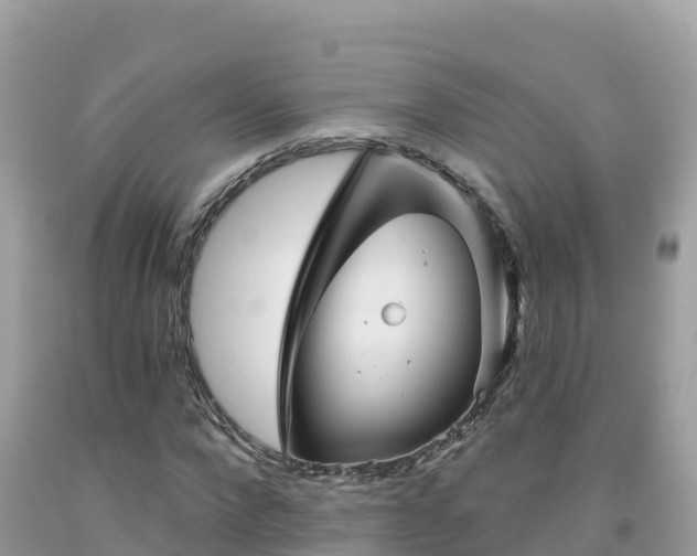 X0000092010872200709131532