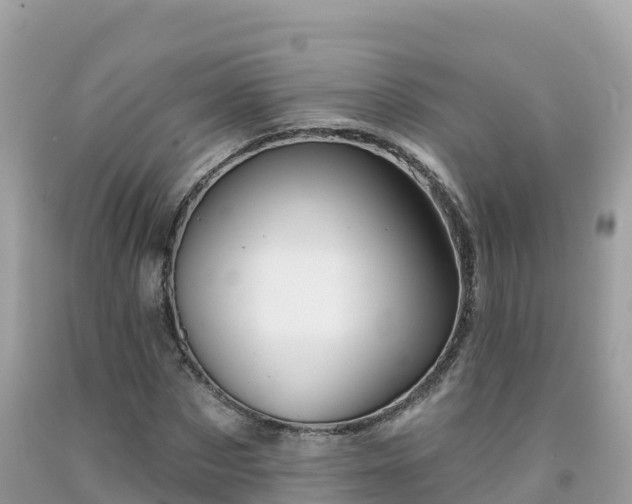 X0000092010873200709131532