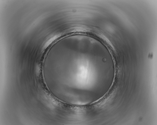 X0000092010874200709131532