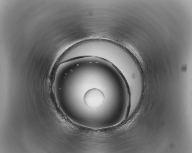 X0000092010876200709131532