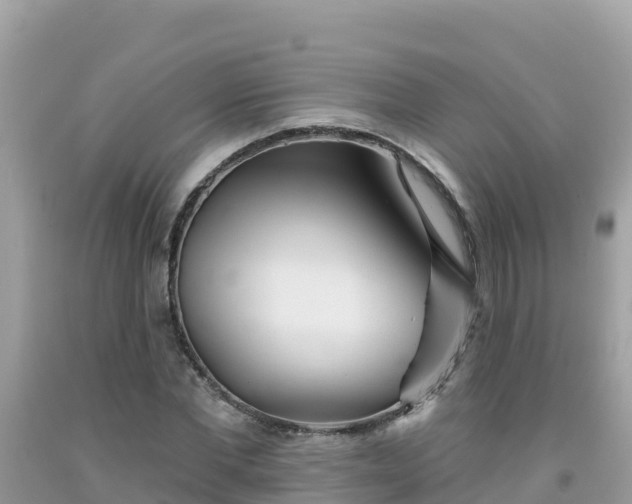 X0000092010877200709131532