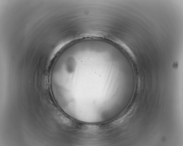 X0000092010878200709131532