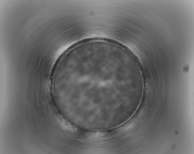 X0000092010879200709131532