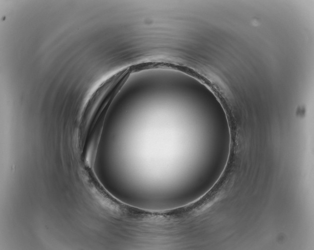 X0000092010880200709131532