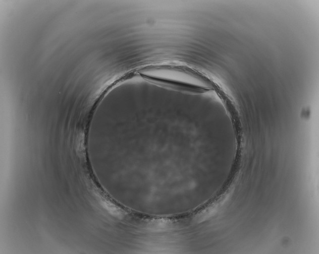 X0000092010881200709131532