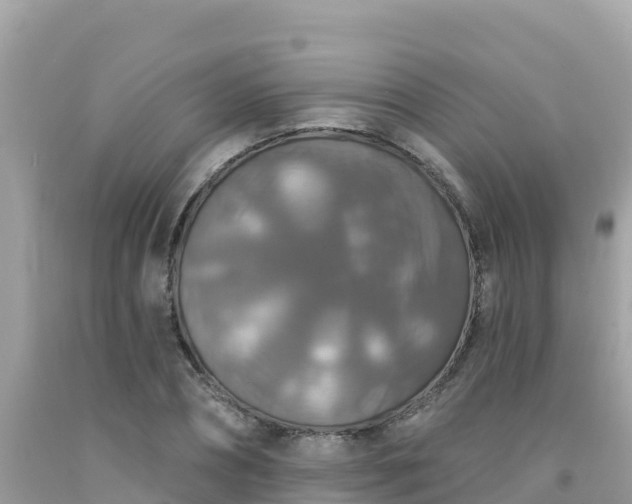 X0000092010882200709131532