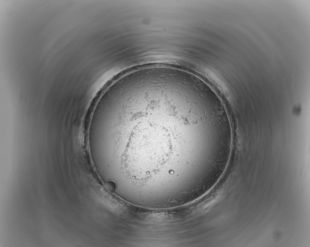 X0000092010883200709131532