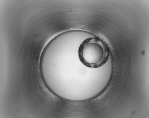 X0000092010884200709131532