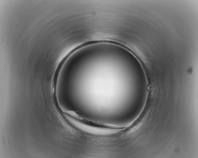 X0000092010885200709131532