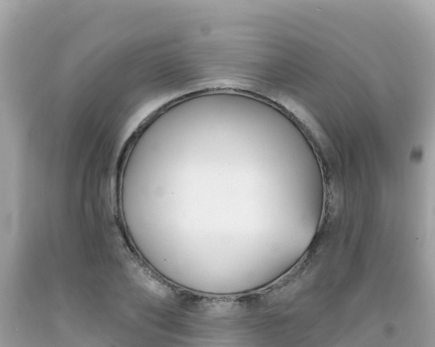 X0000092010886200709131532