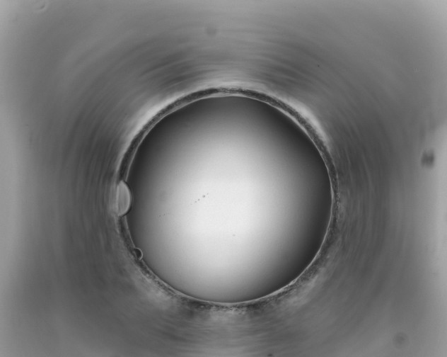 X0000092010887200709131532