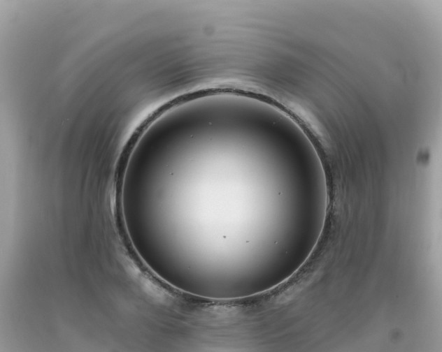 X0000092010888200709131532