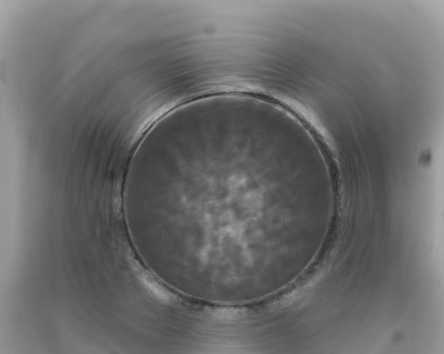 X0000092010889200709131532