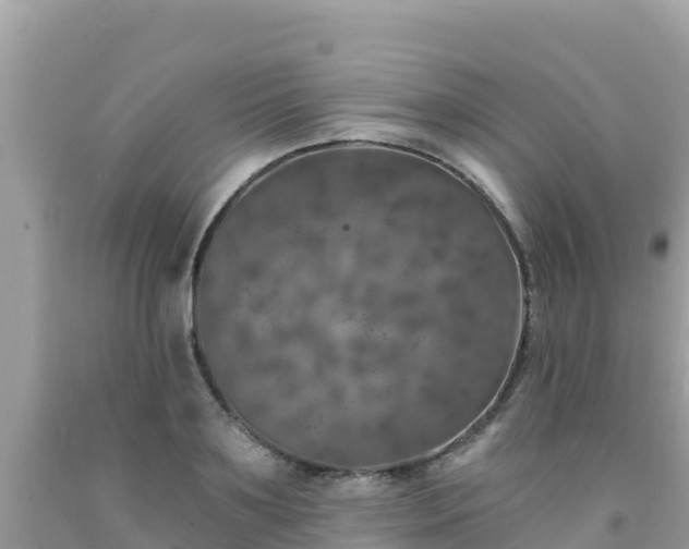 X0000092010891200709131532