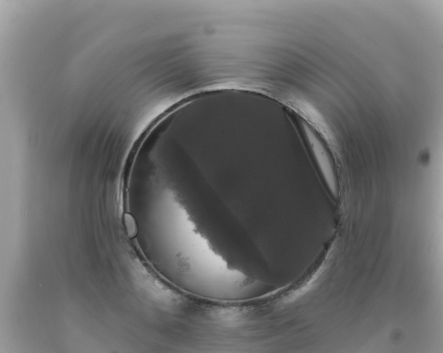 X0000092010892200709131532
