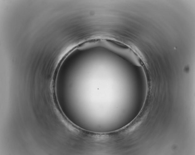 X0000092010893200709131532