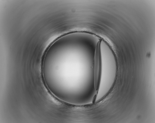 X0000092010894200709131532