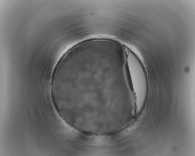 X0000092010895200709131532