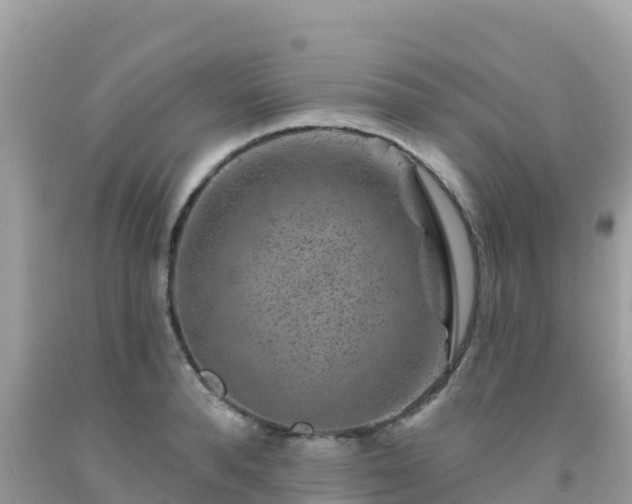 X0000092010896200709131532