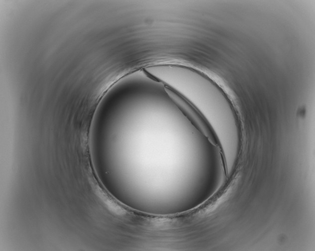 X0000092010897200709131532