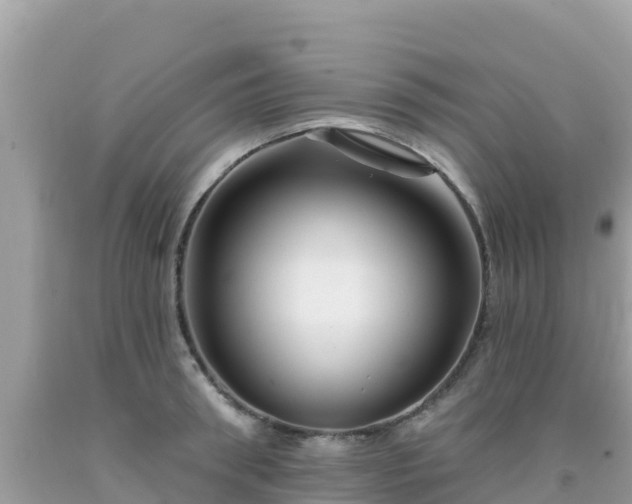 X0000092010898200709131532