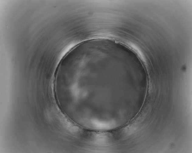 X0000092010899200709131532