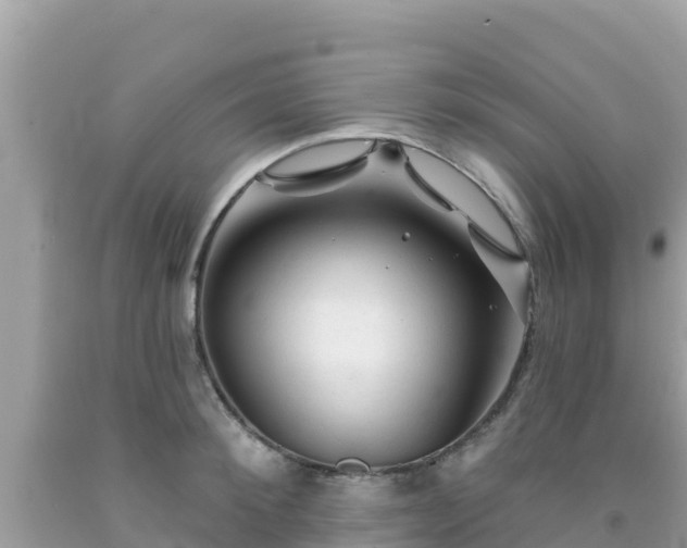 X0000092010900200709131532