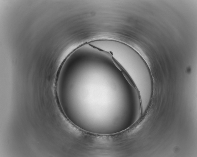 X0000092010901200709131532