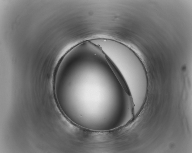 X0000092010902200709131532