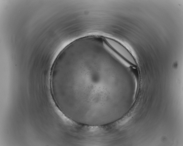X0000092010903200709131532