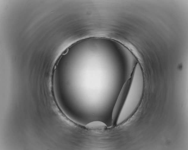 X0000092010904200709131532