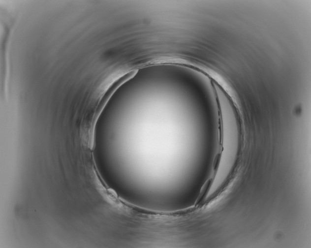 X0000092010905200709131532