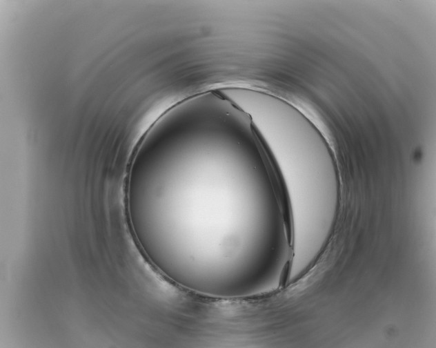 X0000092010906200709131532