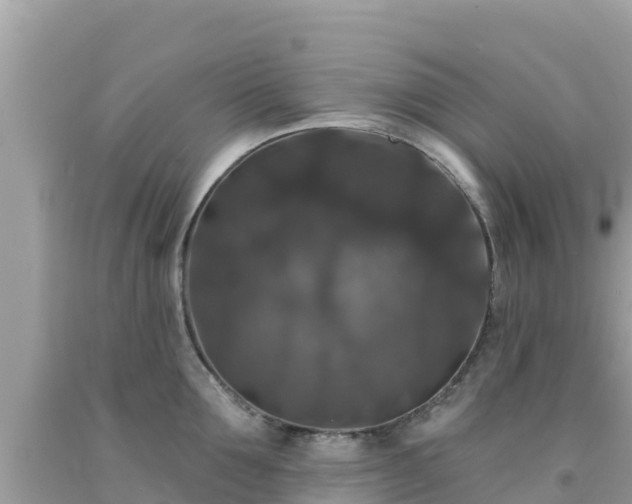 X0000092010907200709131532