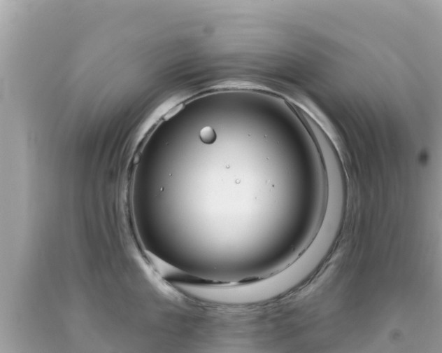 X0000092010909200709131531
