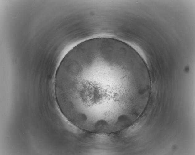 X0000092010911200709131531