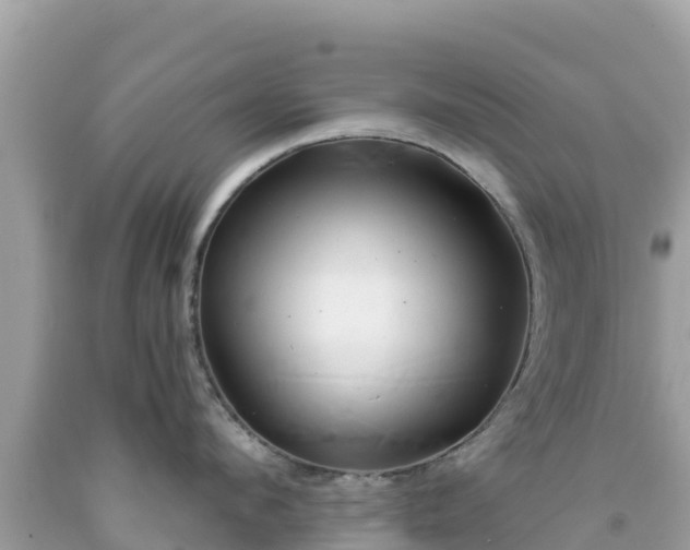 X0000092010912200709131531