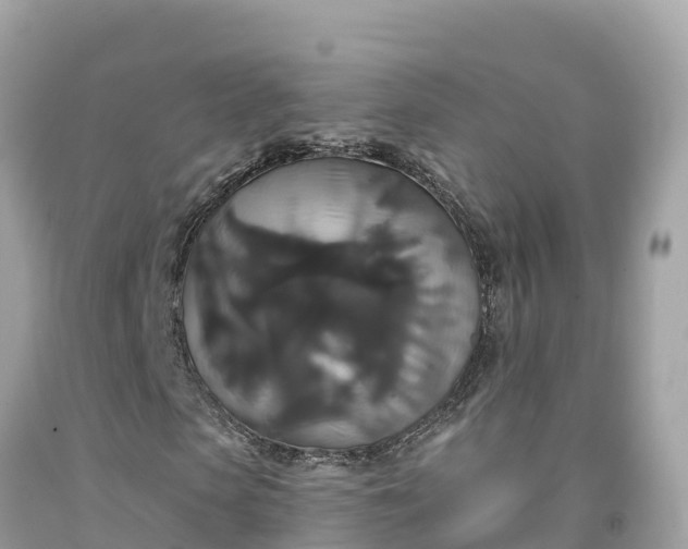 X0000092010913200709131531