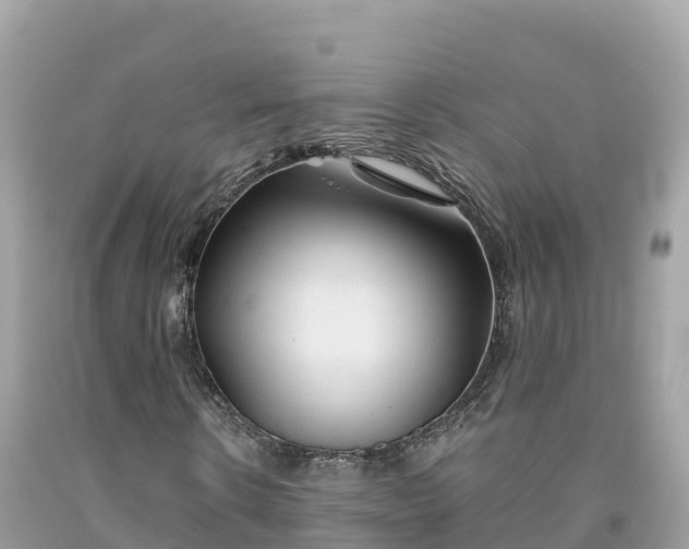 X0000092010914200709131531