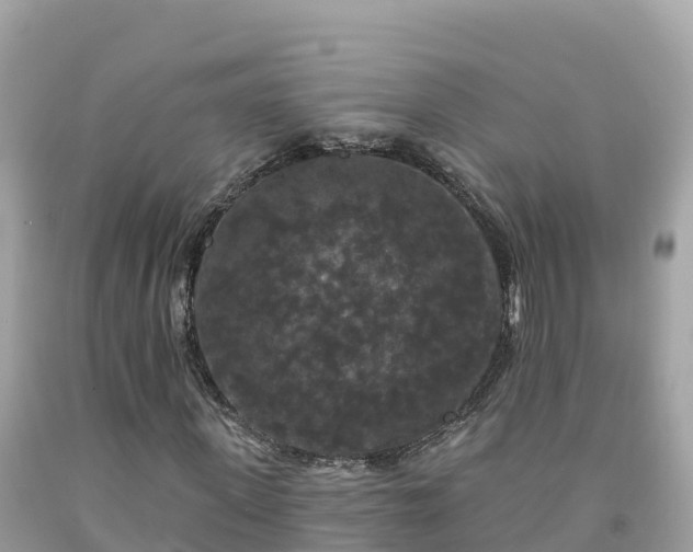 X0000092010915200709131531