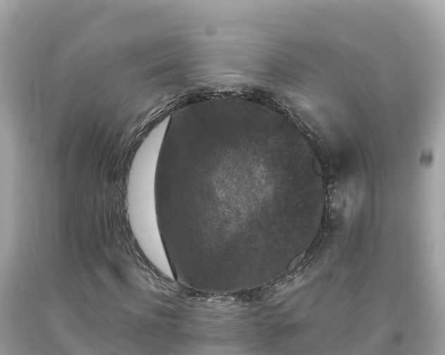 X0000092010916200709131531