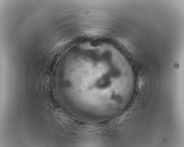 X0000092010917200709131531