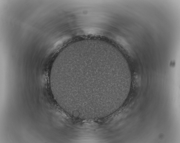 X0000092010918200709131531
