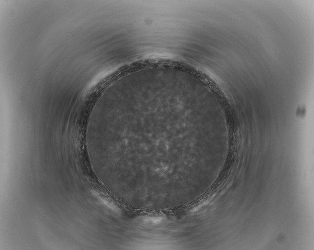 X0000092010919200709131531