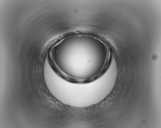 X0000092010920200709131531